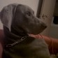 Viendo la tele